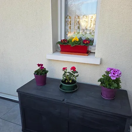 Duplex Le Bon Sejour - 公寓 *