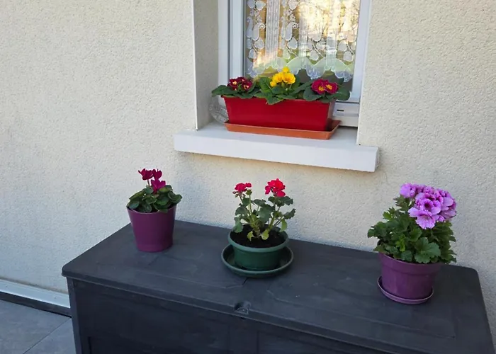 Duplex Le Bon Sejour - 公寓 *